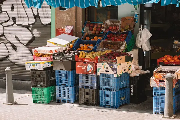 Organización del mercado de divisas y análisis de riesgo de cambio