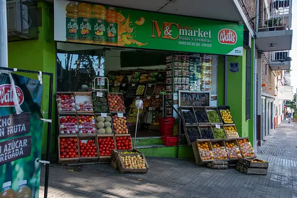 La implantación de espacios comerciales y el desarrollo virtual