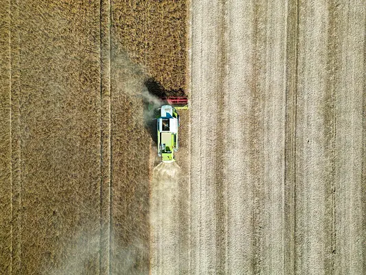 Operaciones culturales, recolección, almacenamiento y envasado de productos - actividades auxiliares en agricultura