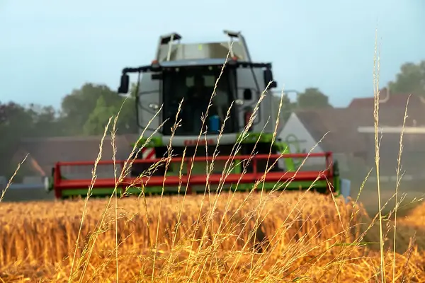 Usuario profesional de productos fitosanitarios. Nivel básico. Andalucía