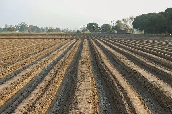 Instalación de infraestructuras en cultivos agrícolas