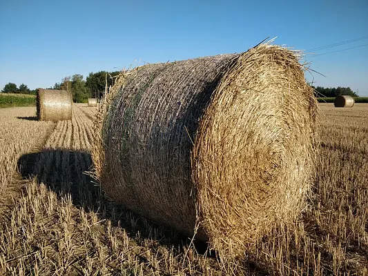 Máquinas agrícolas de accionamiento y tracción
