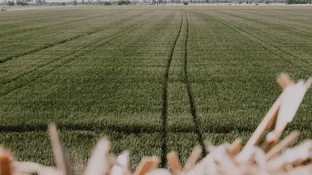 Selección de los equipos de aplicación de fertilizantes