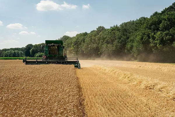 Aplicación de la normativa de seguridad y de protección medioambiental en la producción de animales de renuevo, de reproductores, crías y de producción de leche