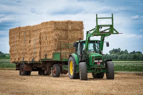 El suelo de cultivo y las condiciones climáticas