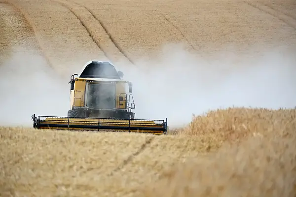 Determinación del estado sanitario de las plantas suelo e instalaciones y elección de los métodos de control