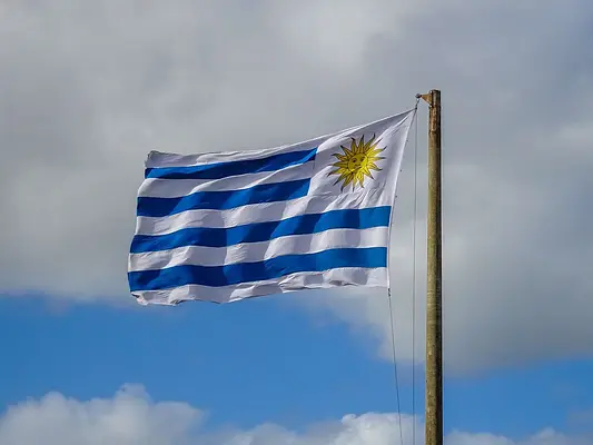 Atención y gestión de llamadas entrantes en un servicio de teleasistencia