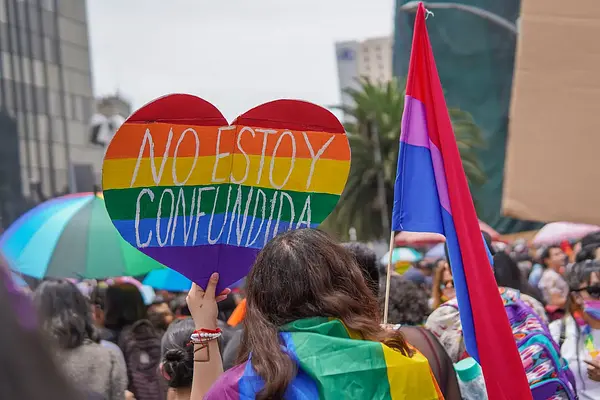 Plan de gestión de la diversidad lgtbi en la empresa