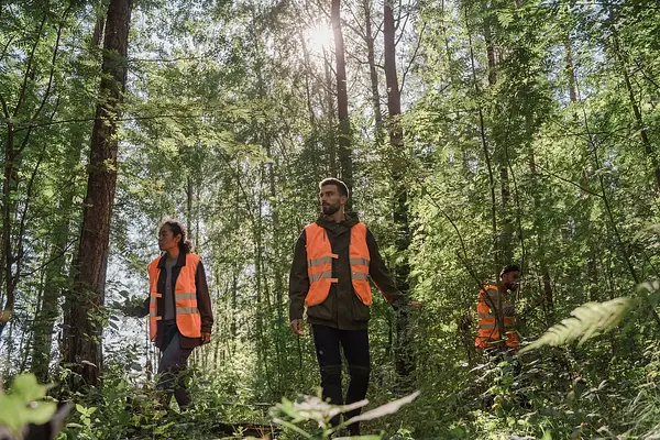Prl, seguridad y medioambiente en sector de oficinas y despachos
