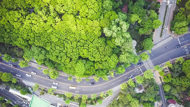 Economía circular: principios de la sostenibilidad