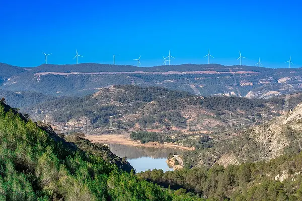 Covid-19 qué es y cómo actuar frente a la enfermedad - sector oficina y despachos
