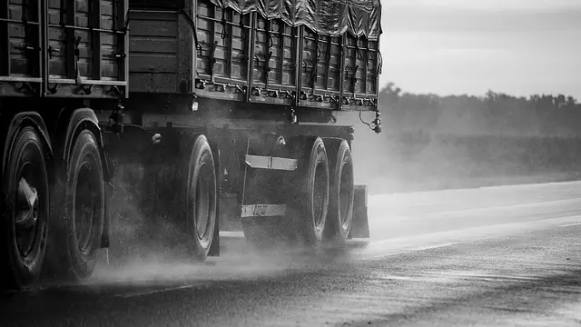 Entorno económico del transporte por carretera y la organización del mercado