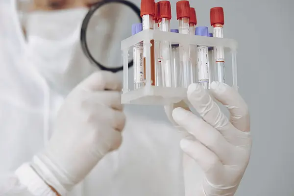Fisiología del embarazo