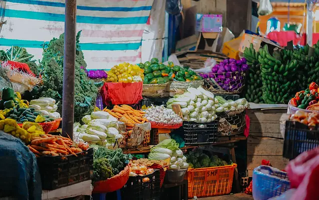 Manipulador de alimentos - sector hortofruticola