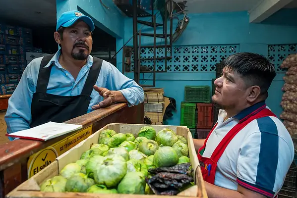 Normativa de conservación de alimentos y alérgenos