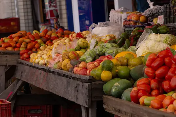 Normativa de conservación de los alimentos y aplicación a las condiciones de transporte y a los vehículos