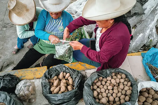 Extremar la fabricación y/o el despacho de productos alimenticios en base a posibles intolerancias o alergias de los comensales de un establecimiento de alimentación