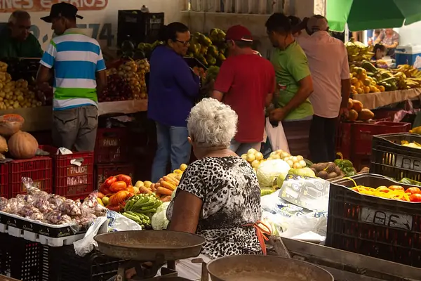 Normativa alérgenos (verificación)
