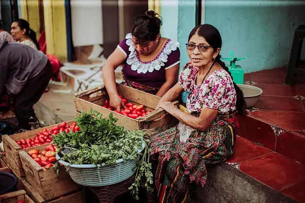 Manipulador de alimentos y seguridad alimentaria