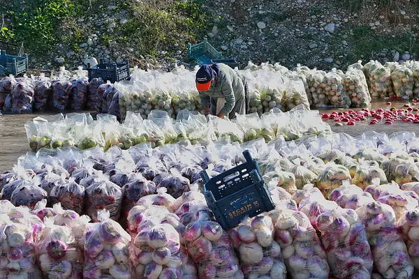 Manipulador de alimentos. Sector bebidas