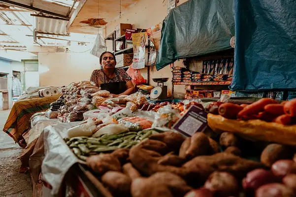 Cocina española e internacional