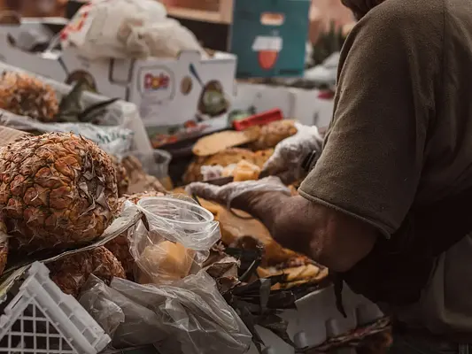 Ofertas gastronómicas sencillas y sistemas de aprovisionamiento - cocina