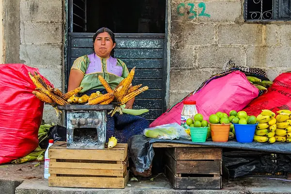 Preelaboración y conservación de vegetales y setas - cocina