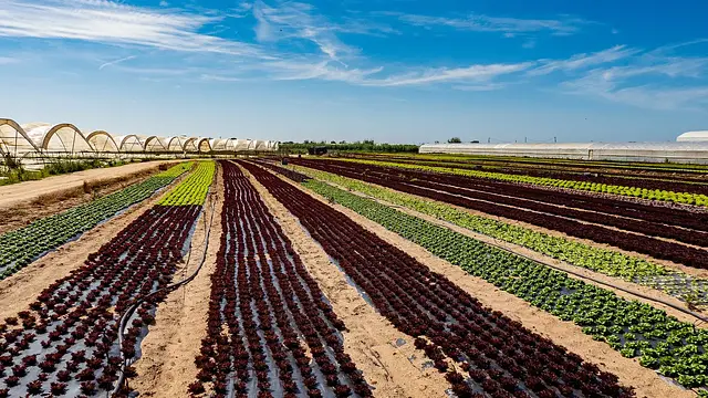 Certificación de calidad en alimentación