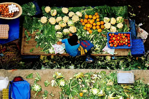 Planificación de menús y dietas especiales
