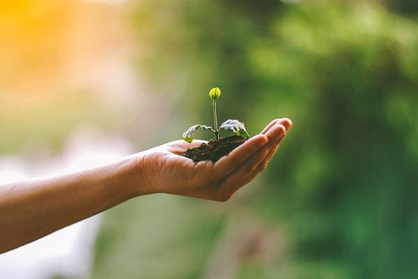 Análisis de Ciclo de Vida: impacto ambiental_A